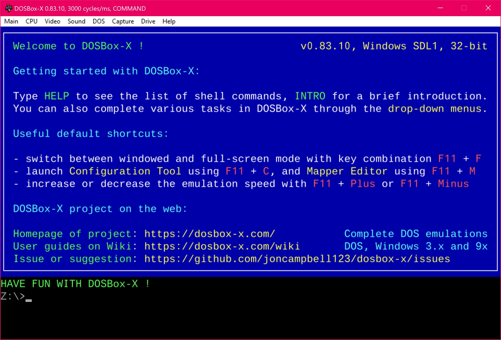 how to make dosbox full screen in win 10